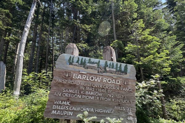 Oregon Trail Barlow - 3530