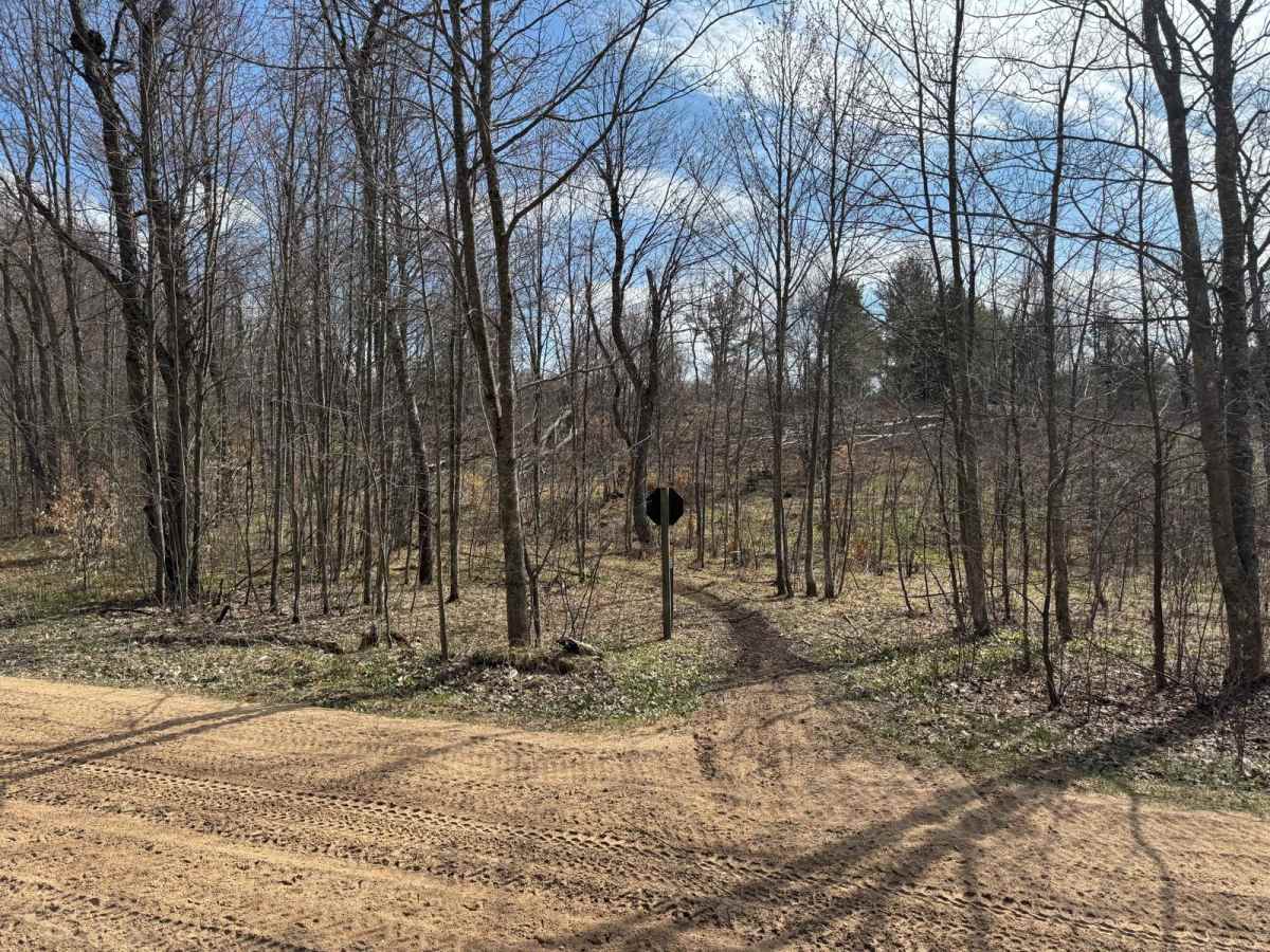 MCCCT - Lincoln Hills to Caberfae Spur photo 3