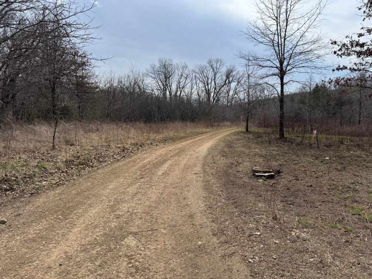 Gary Hollow - FSR 510A trail photo