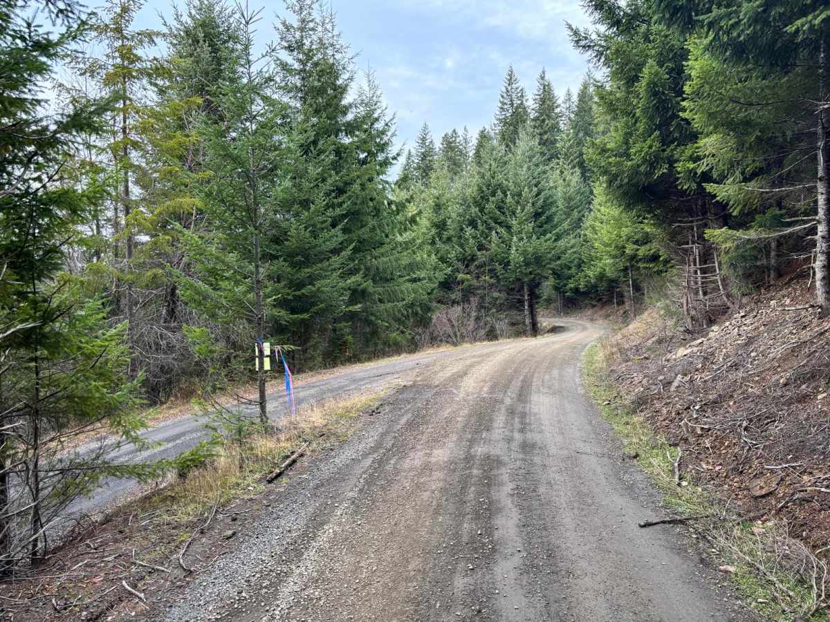 McGregor Road photo 6