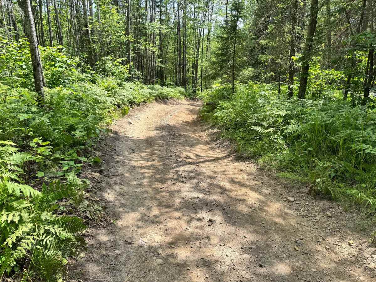 Leaf Lake Loop photo 3
