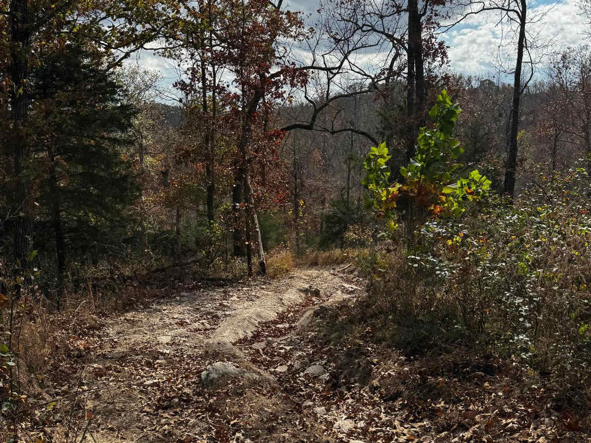 Brett's Cherry trail photo