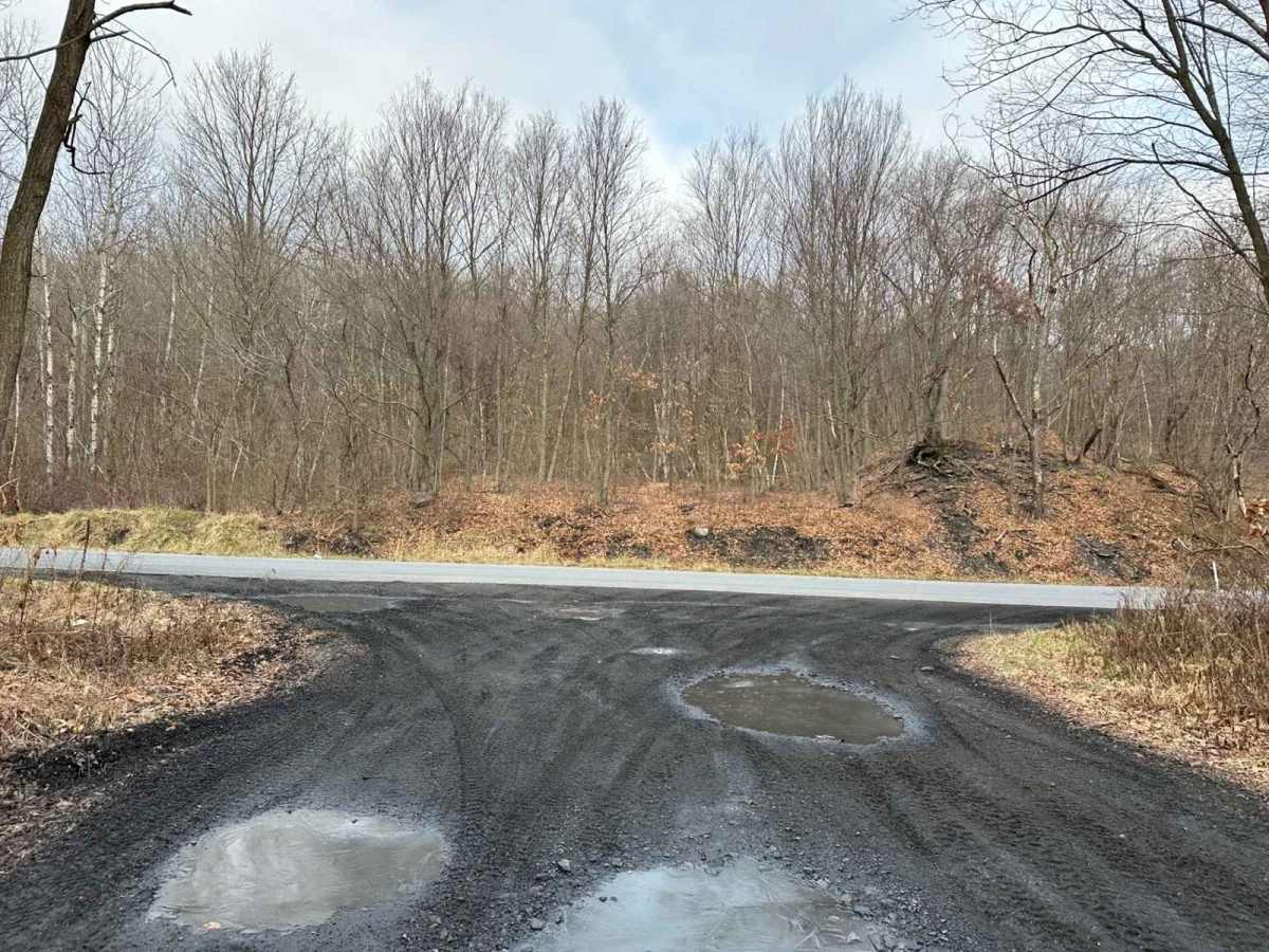Locust Gap 16 photo 6