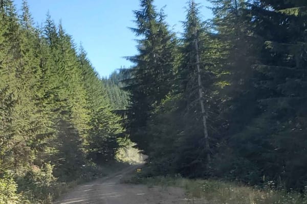 The Great Overlook Adventure Path