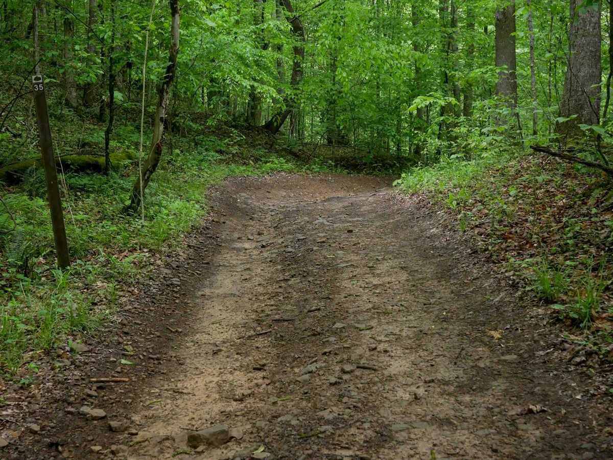 IB 35 photo 5