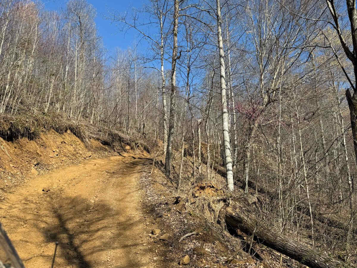 Trail 2 photo 3