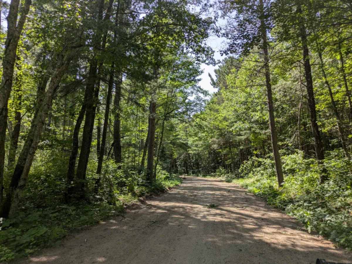 FS 2102 trail photo