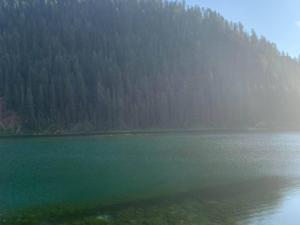 Cottonwood trail photo