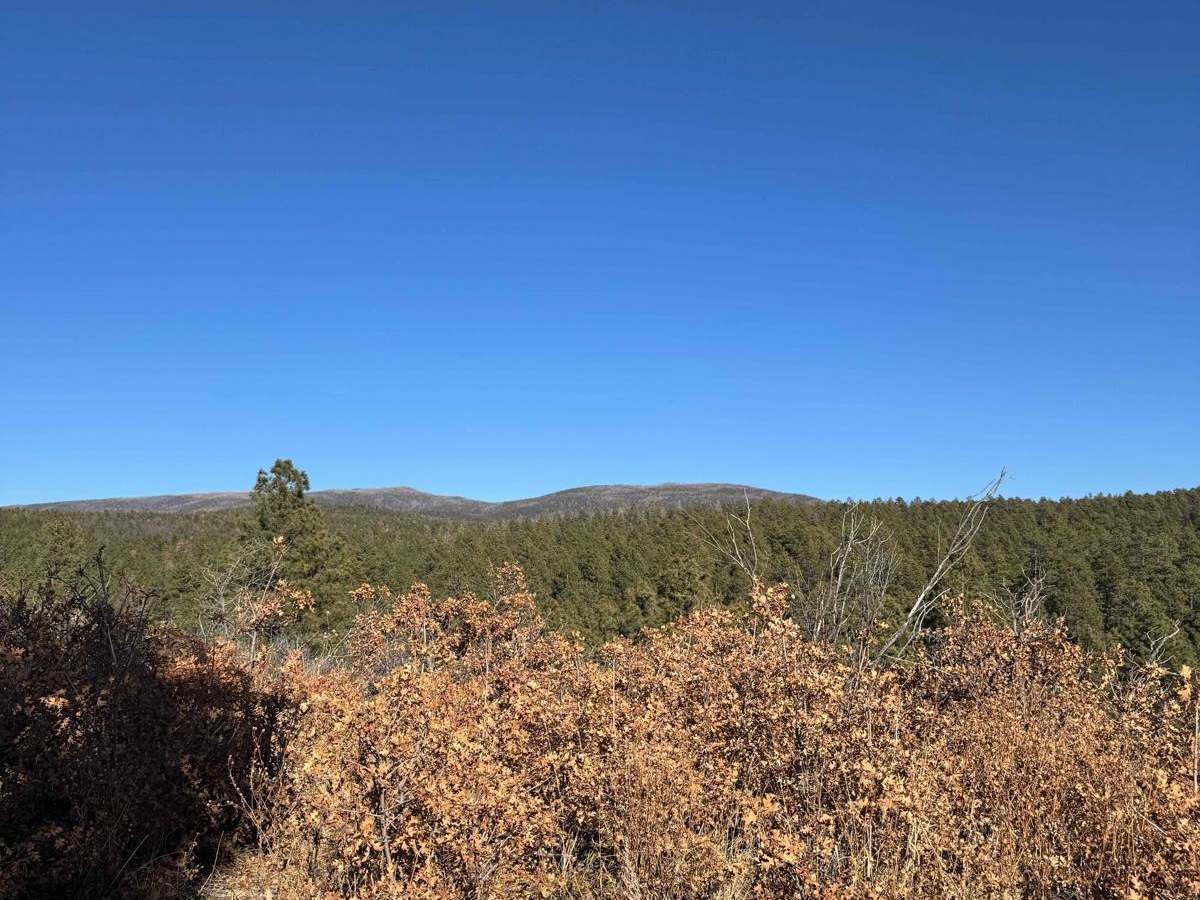 Ruidoso Ridge photo 4