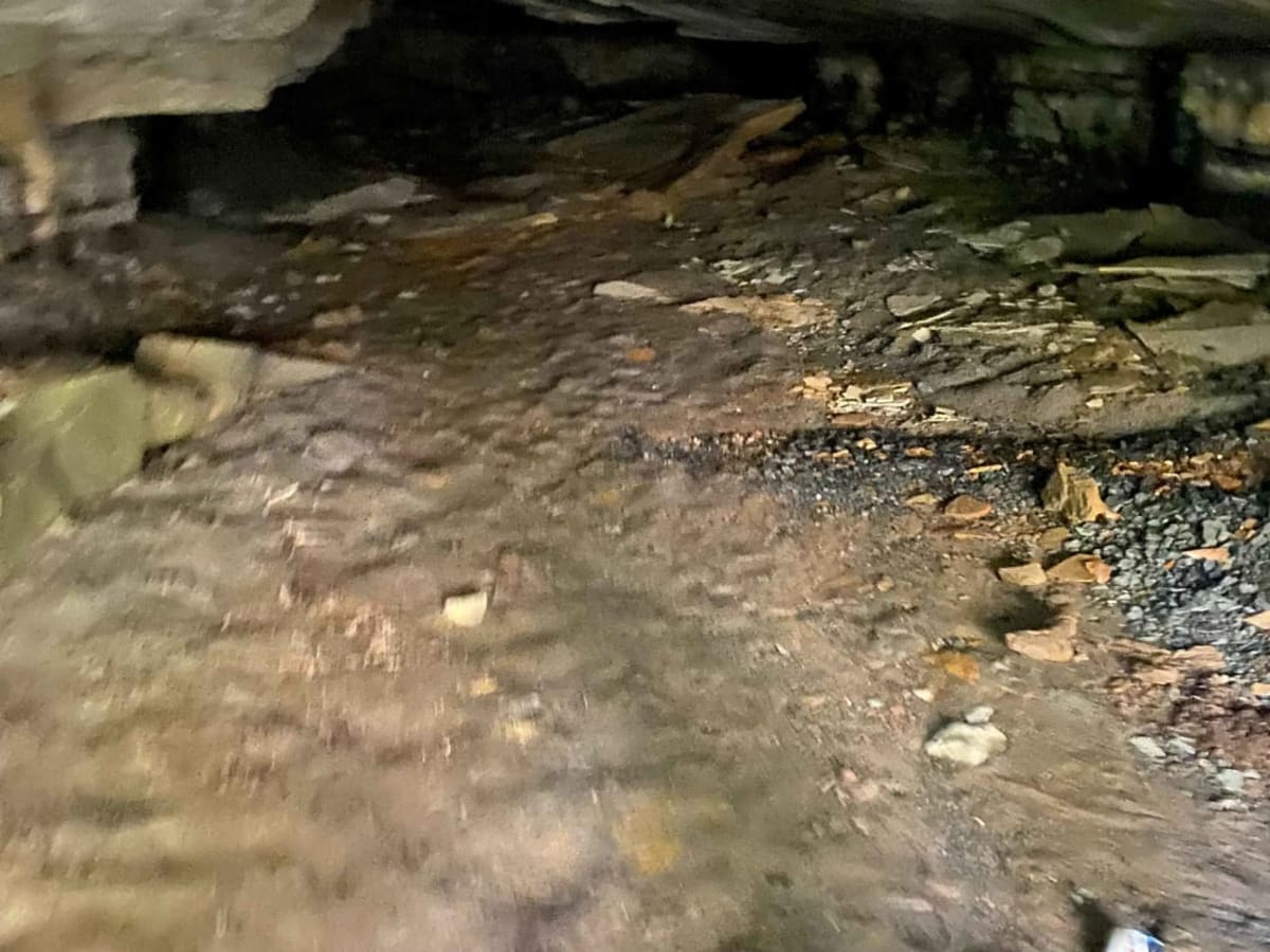 Cinderella Mine Trail photo 5