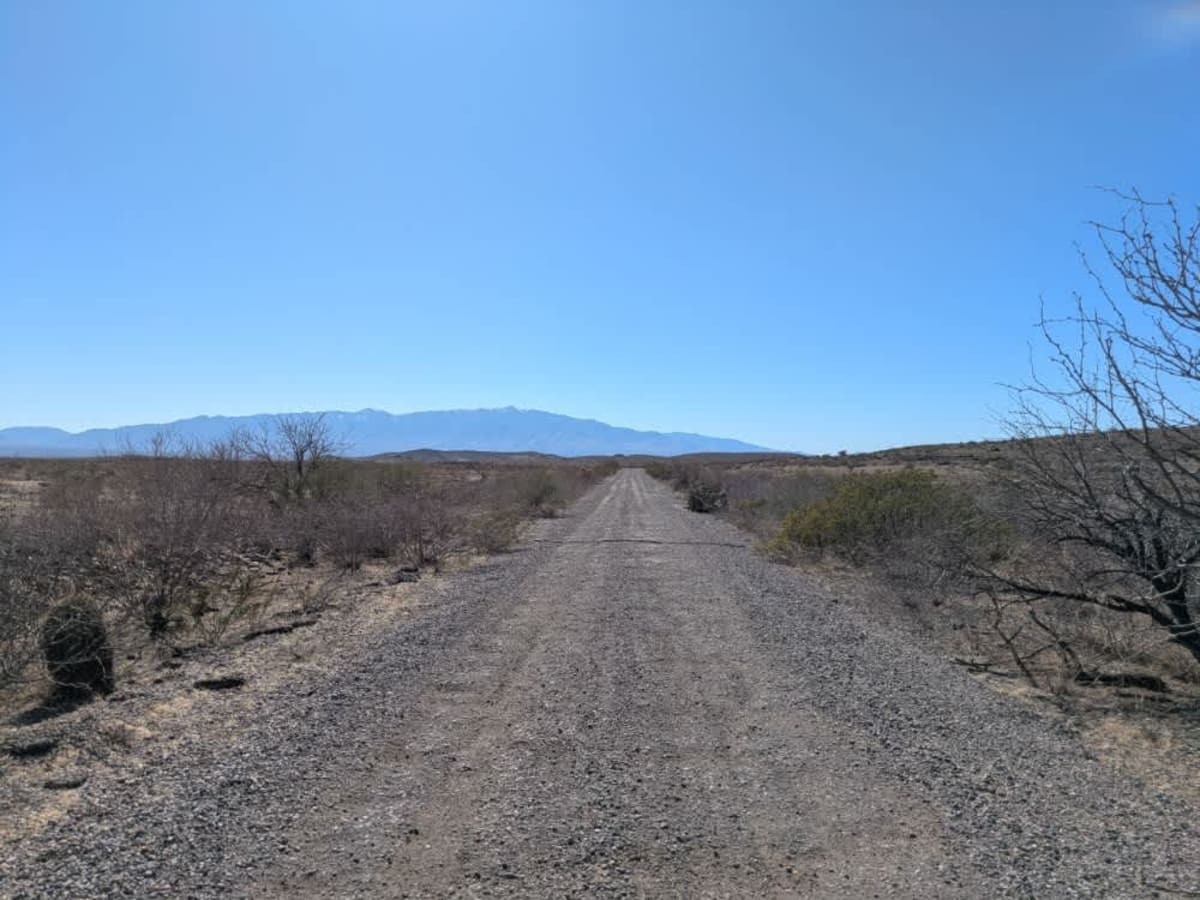 Powerline Road photo 5