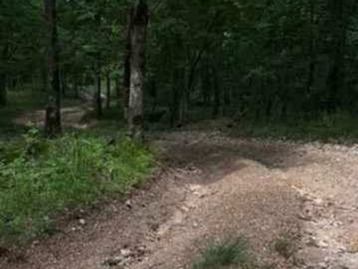 Whitley's Trail photo 5