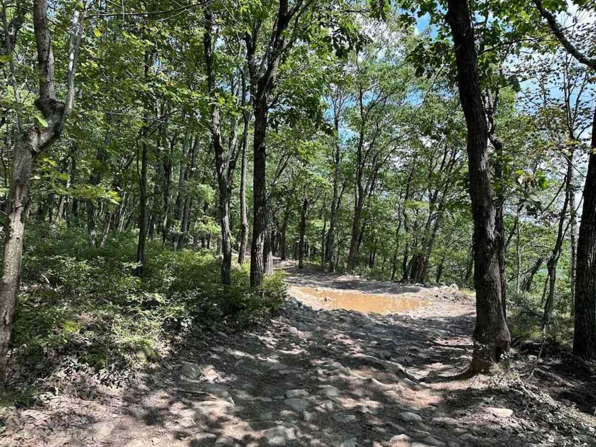 Avalanche Blue trail photo