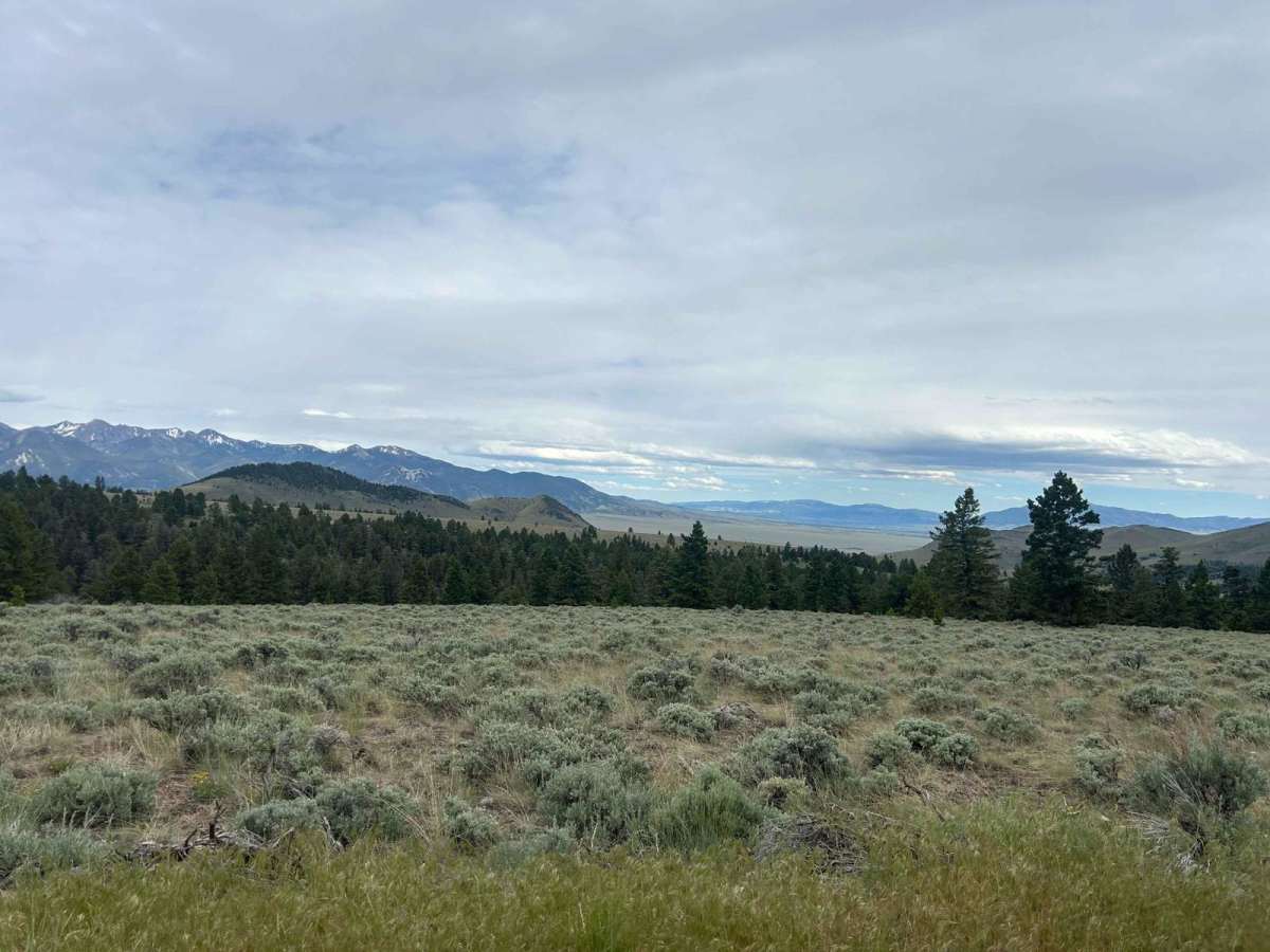 Devil's Canyon photo 5