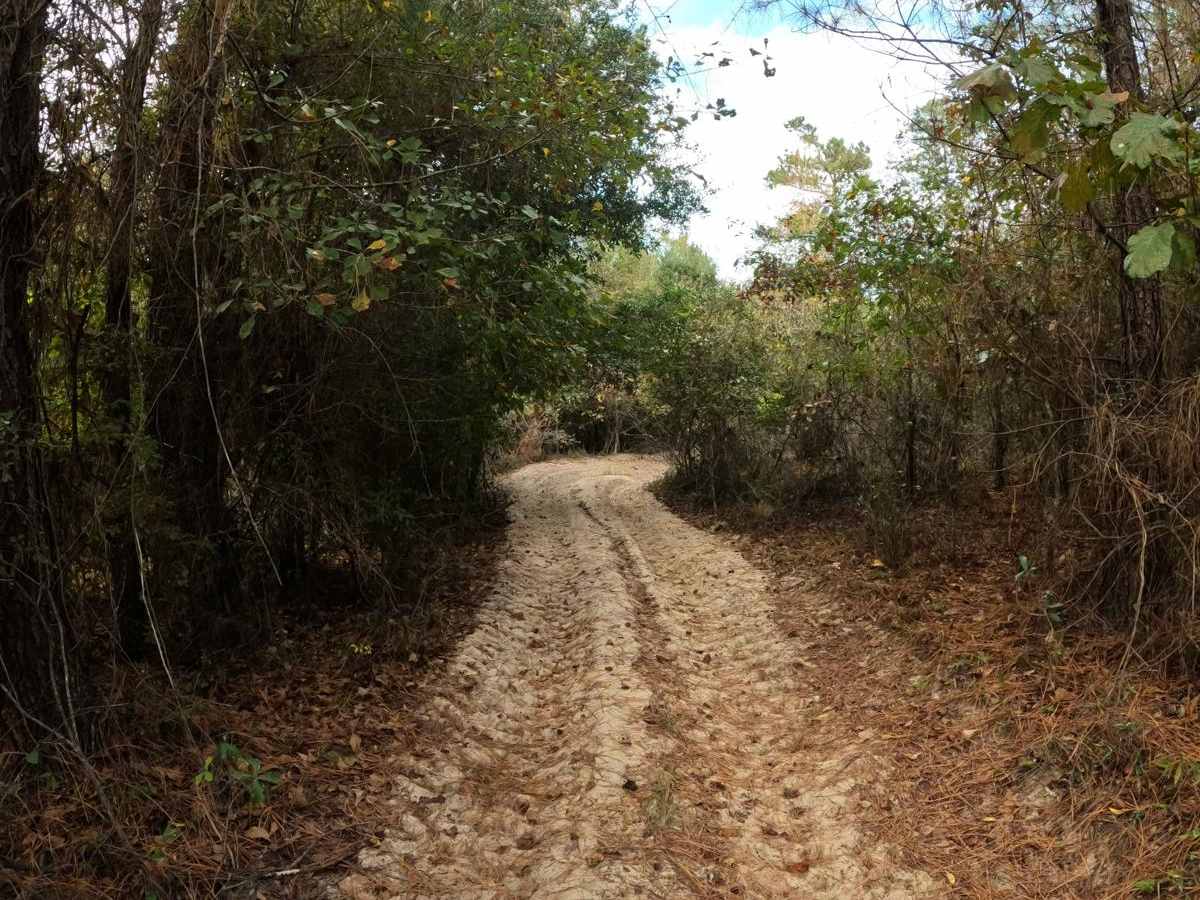 Outlaw's Pass photo 6