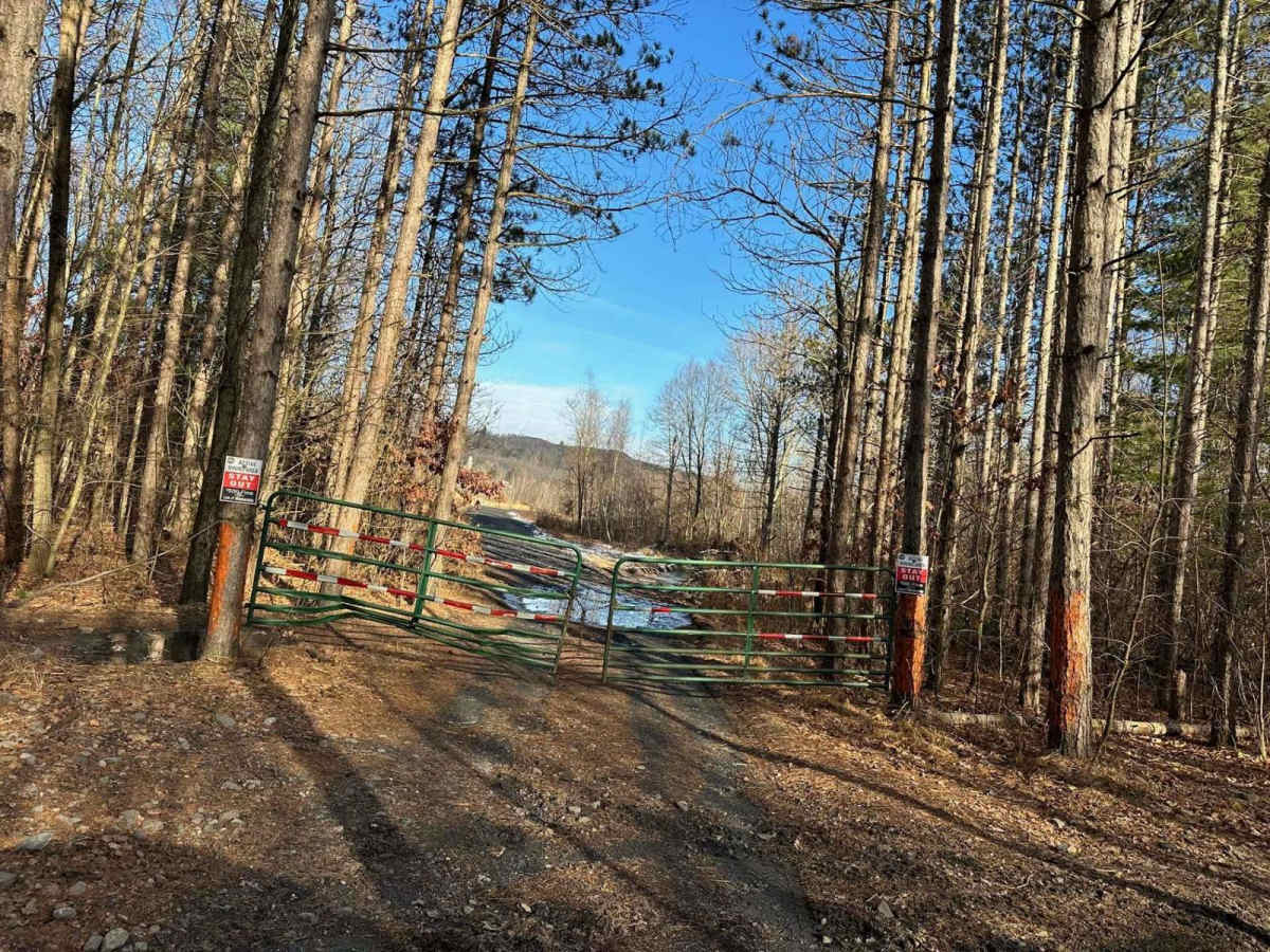 Locust Gap 17 photo 5