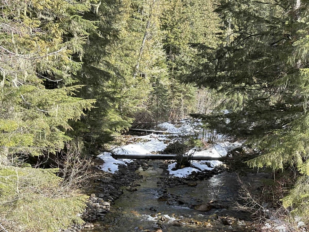 Monashee FSR/Yeoward Creek Road photo 2