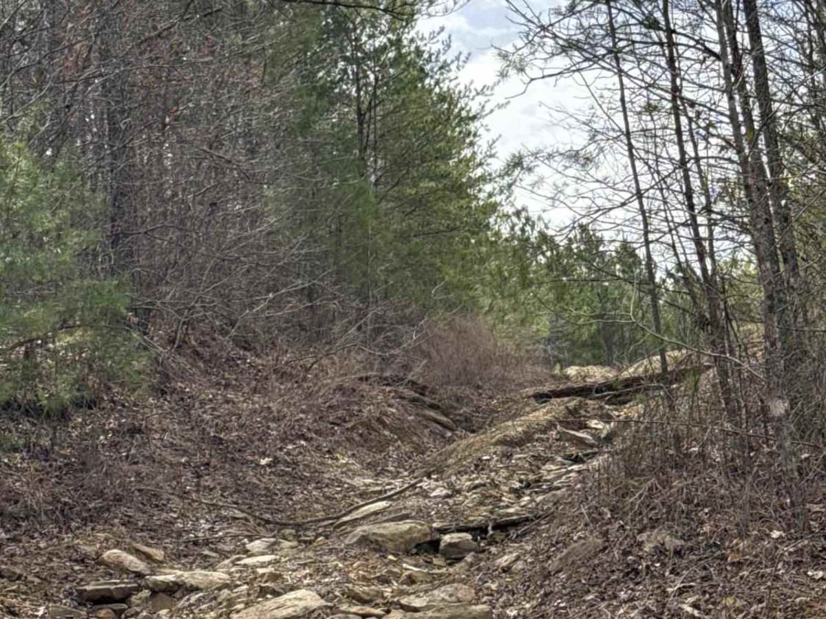 #73b Lower Ditch photo 3