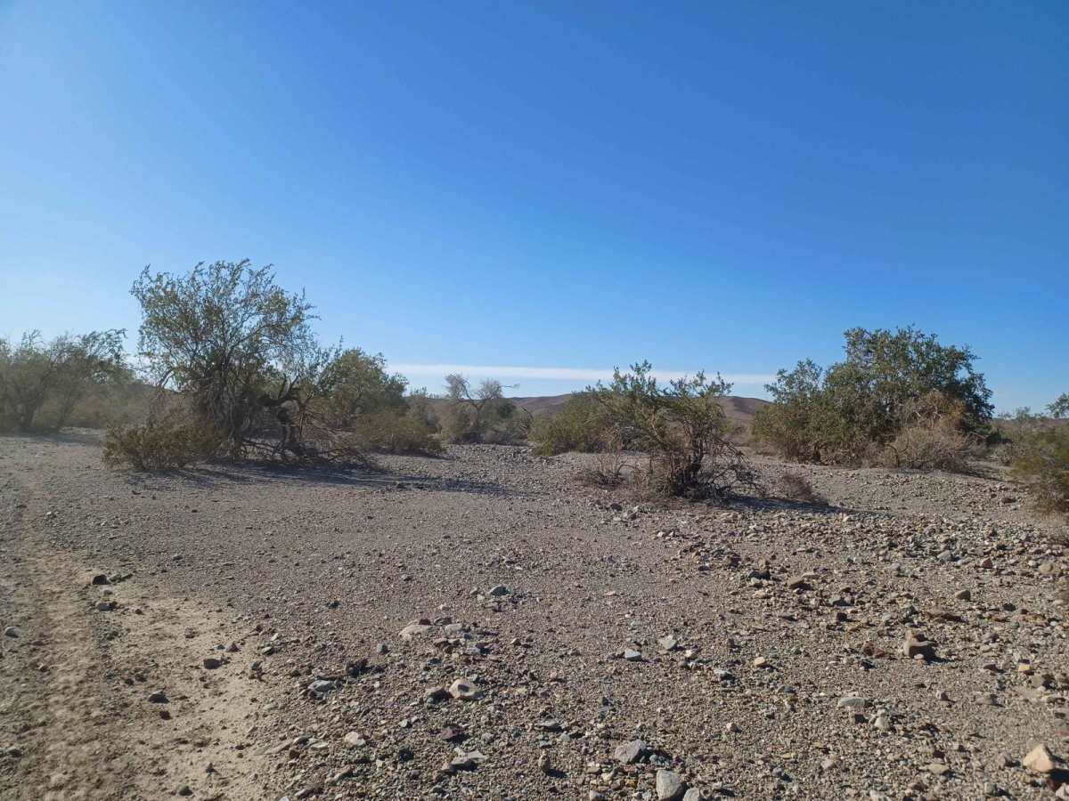Vinagre Wash photo 5