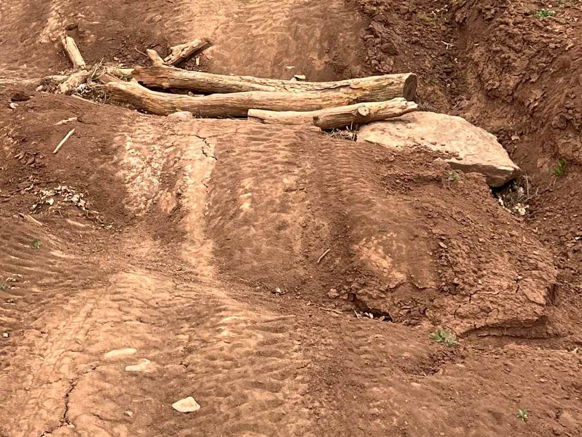 FS 46 Clay Chaos photo 4