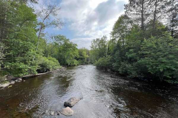 Michigan Creek Road - FS 2134