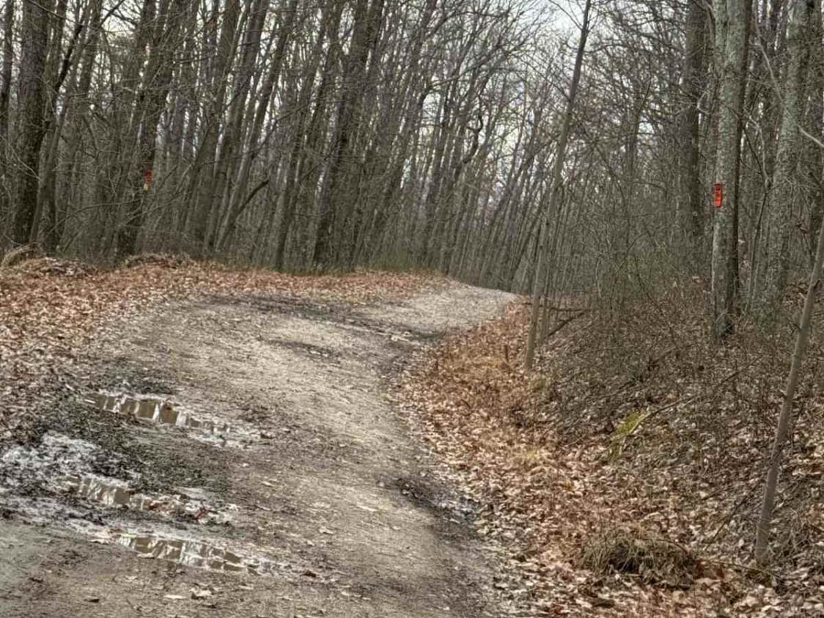 Spruce Run Road photo 5