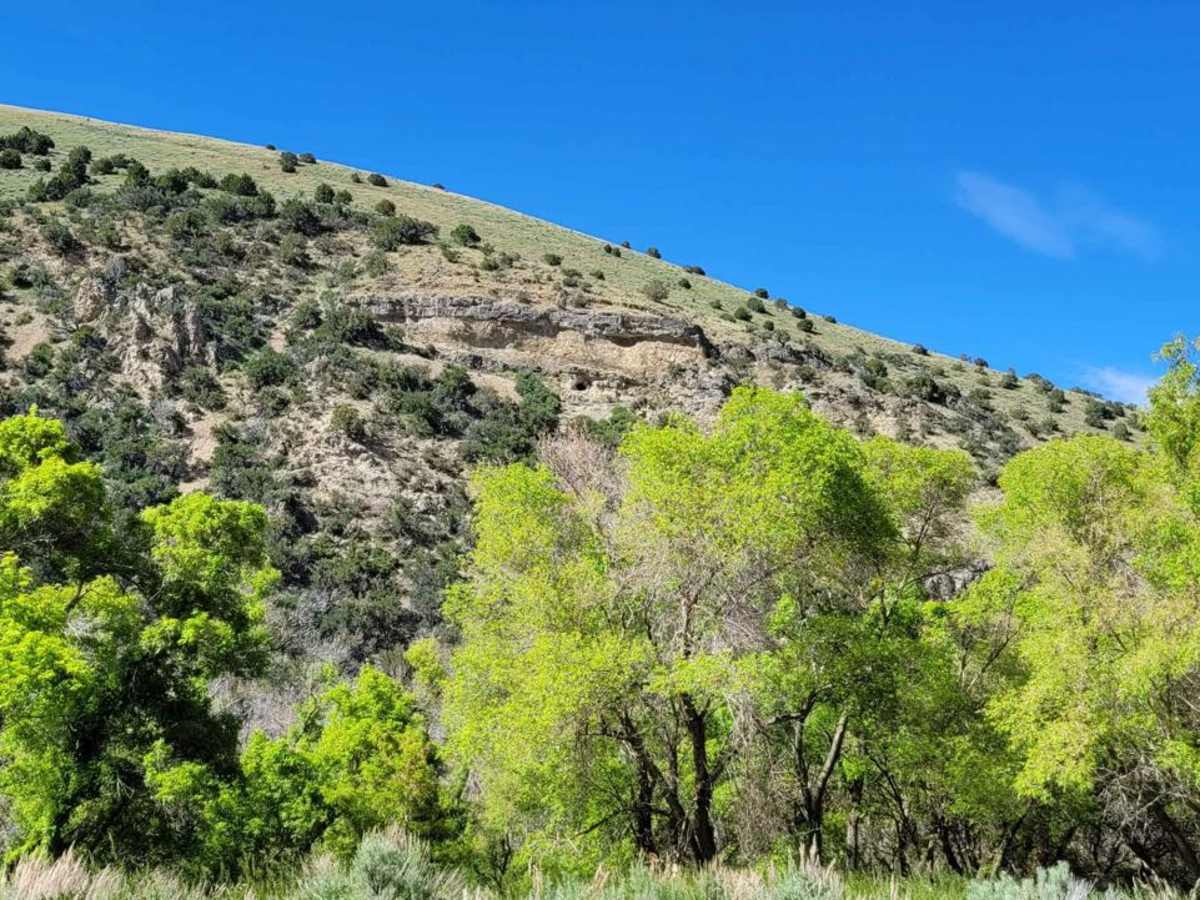 Hickman Canyon Road photo 6