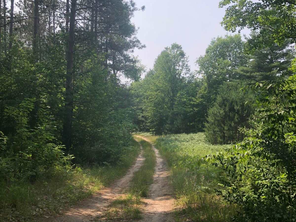 North Reynolds Loop trail photo