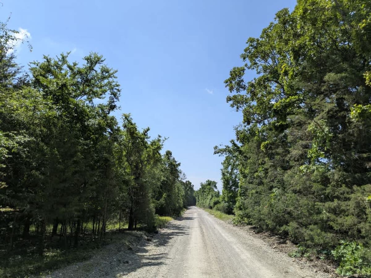 D0670 photo 3