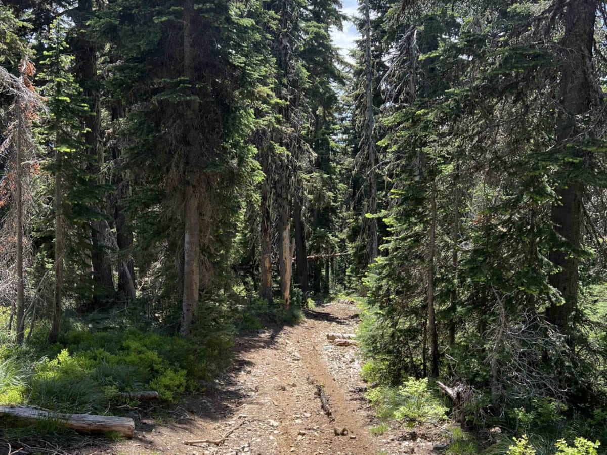 Wonderful Peak trail photo