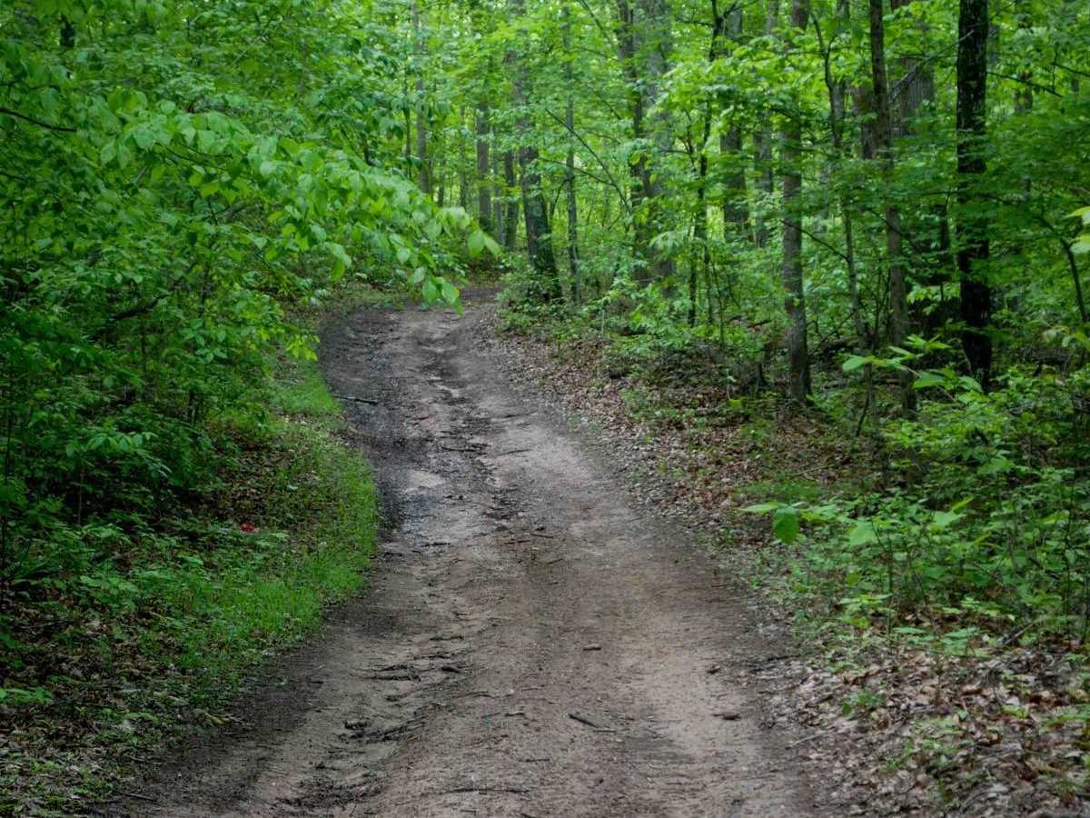 Trail 2 photo 2