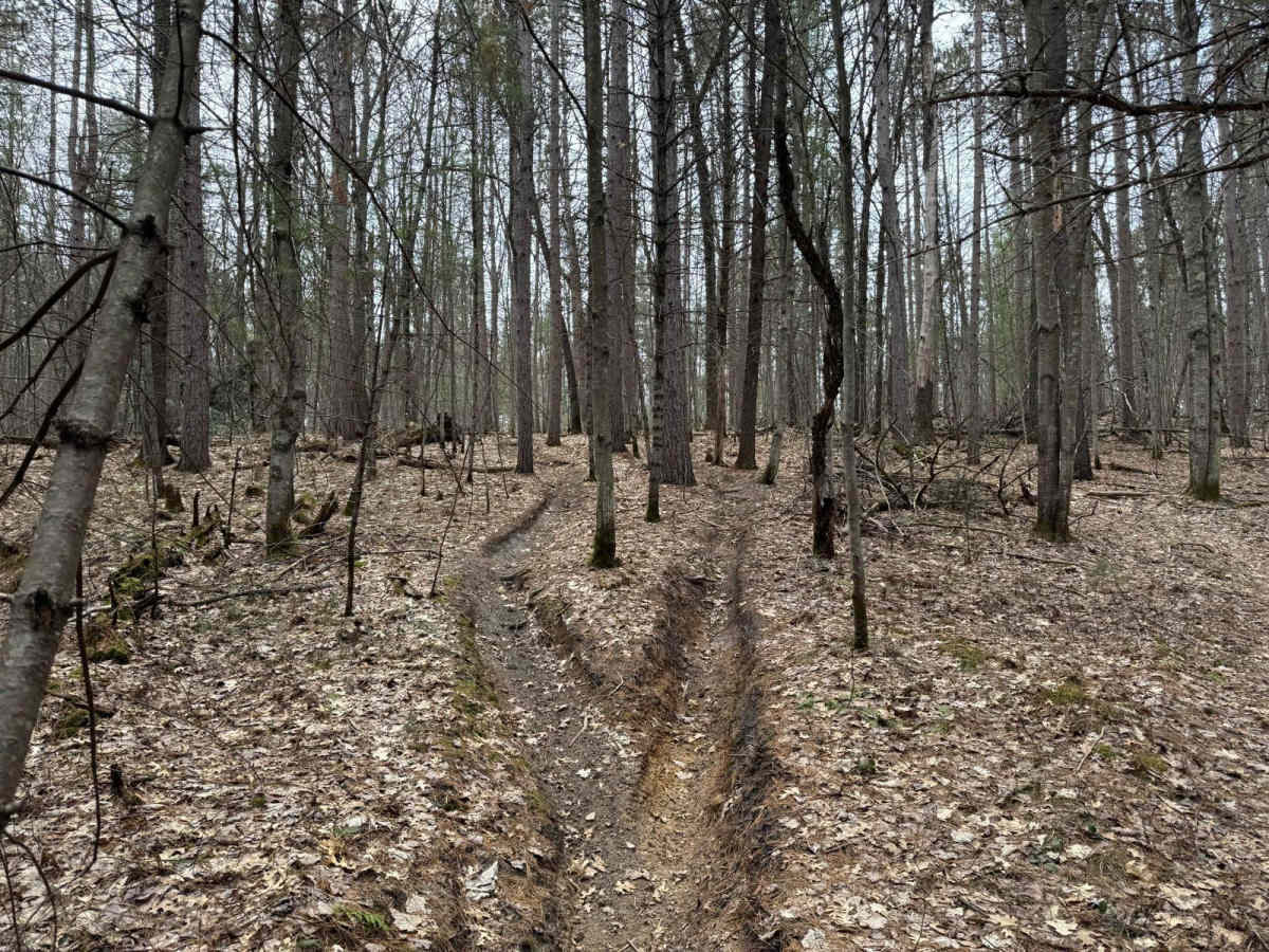 Grand Traverse South photo 4