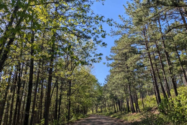 Terrapin Creek Road