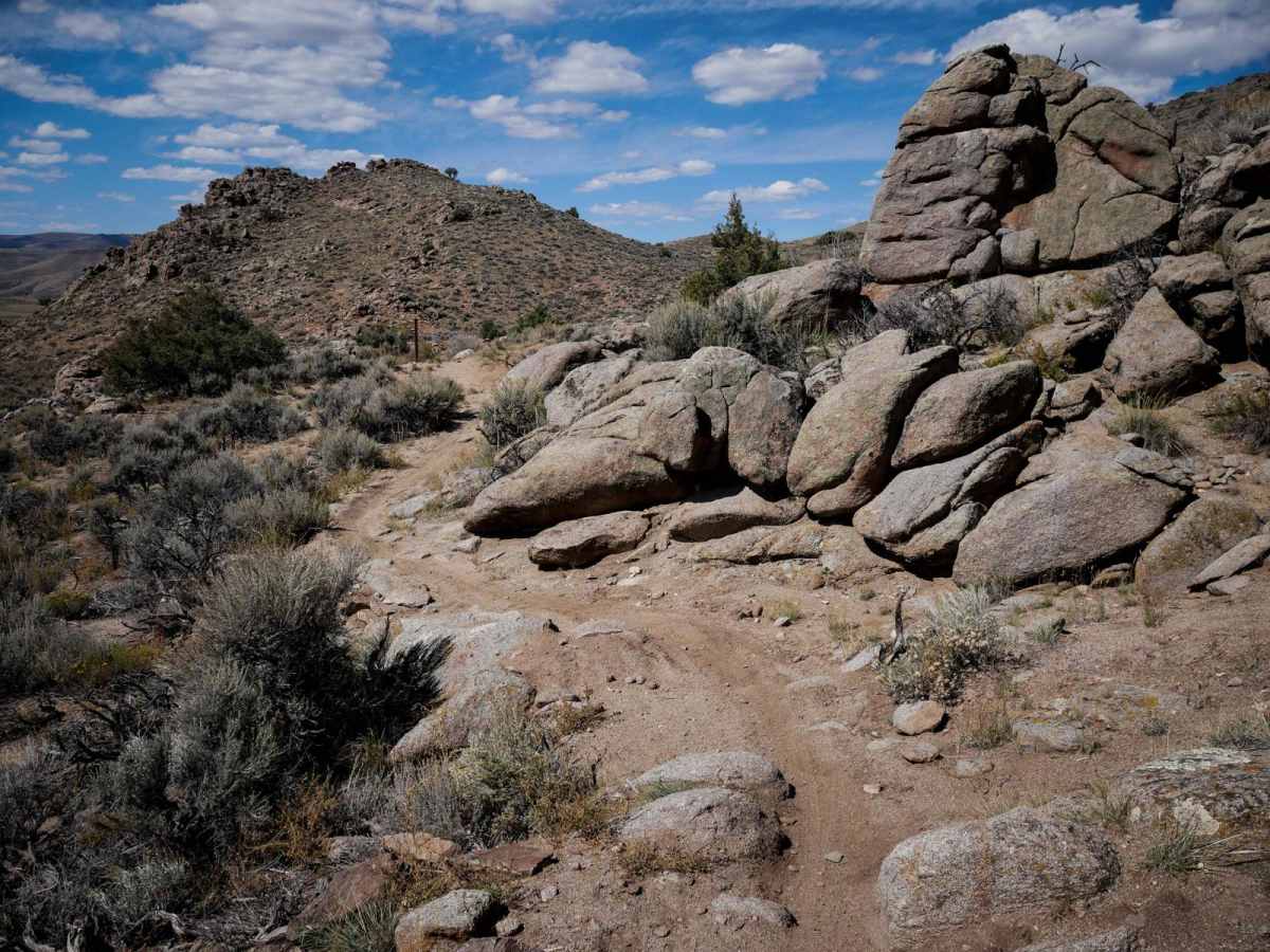 Goat Pasture photo 3