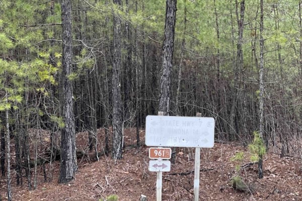Alum Experiment Road 962