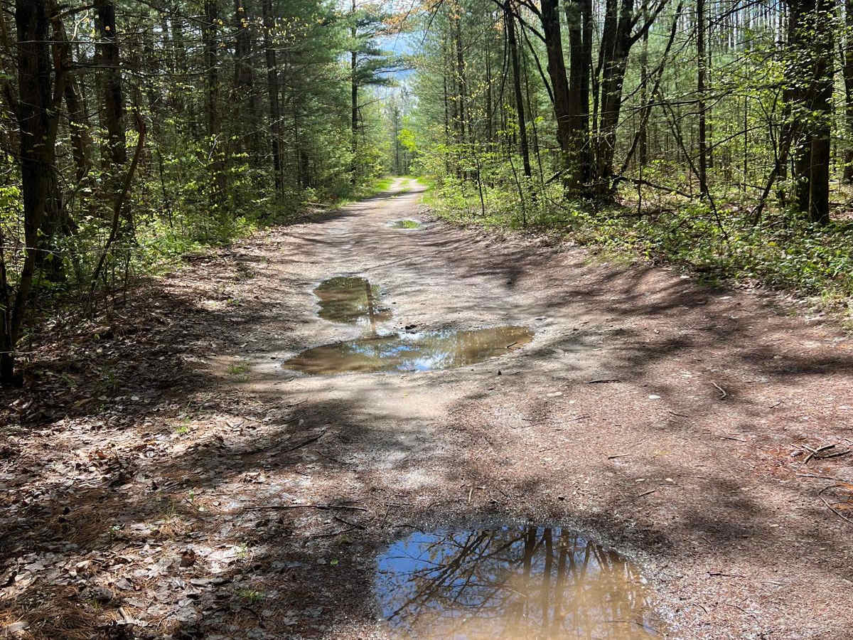 8 Trail photo 3