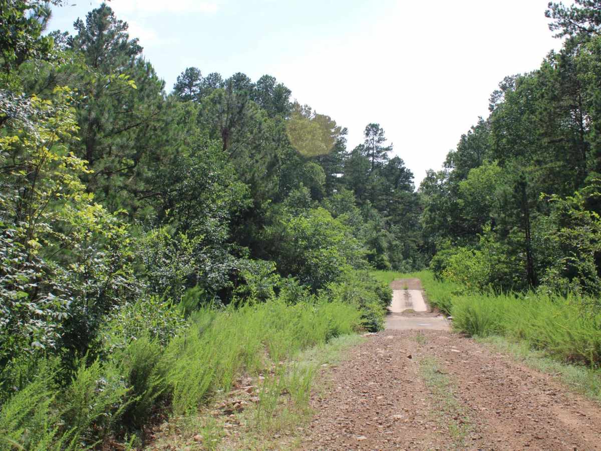 Girard Road to White Oak Road trail photo