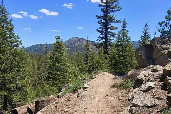 Beach Ridge Trail