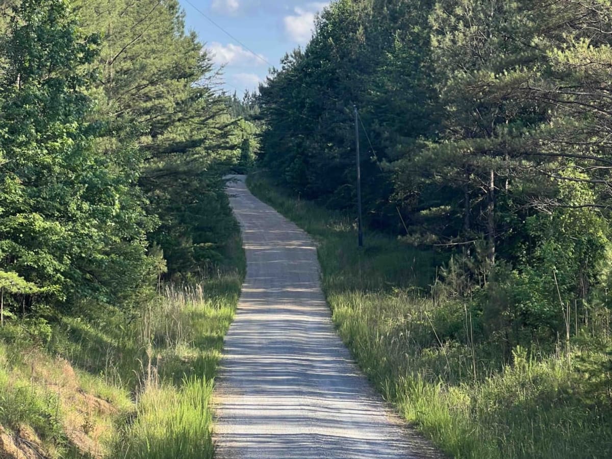 Meadow Creek Road trail photo