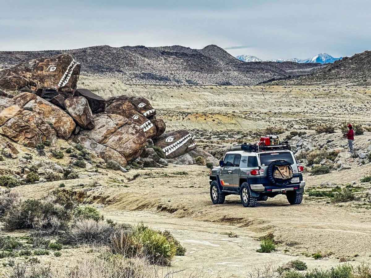 Fish Head Rocks to Trona Pinnacles trail photo