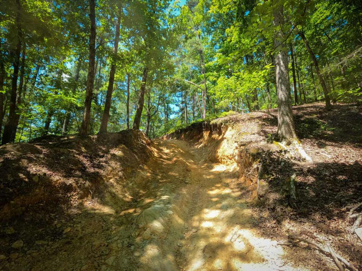 Rubicon Ridge trail photo