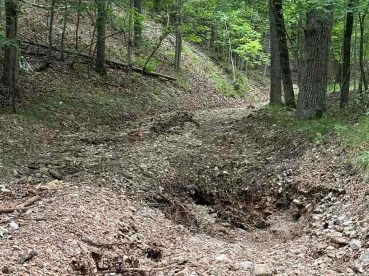 Micheal's Trail photo 3