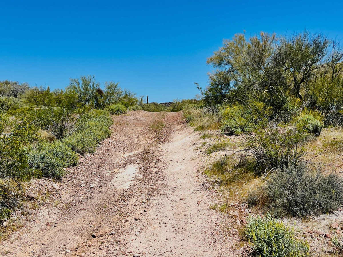 Jimmie Wash Bypass photo 6