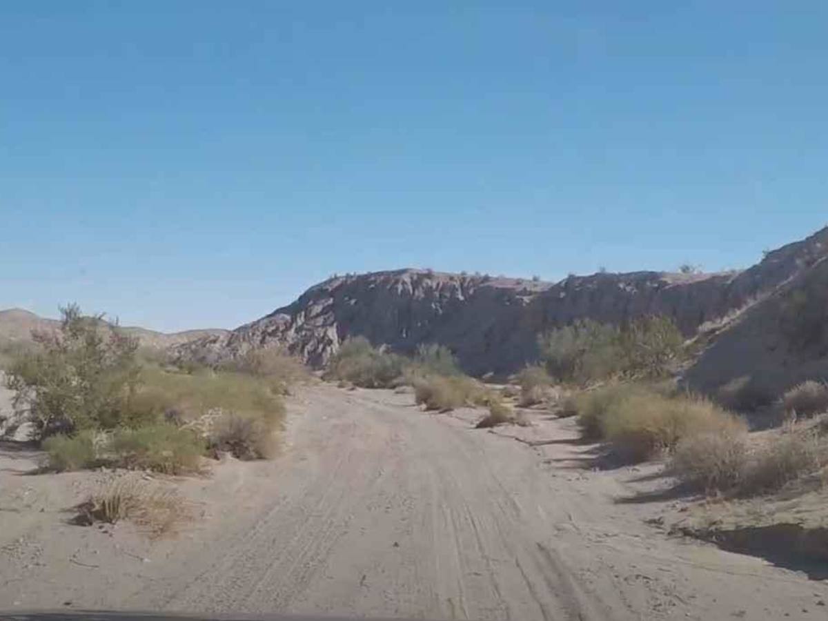 Palo Verde Wash photo 5