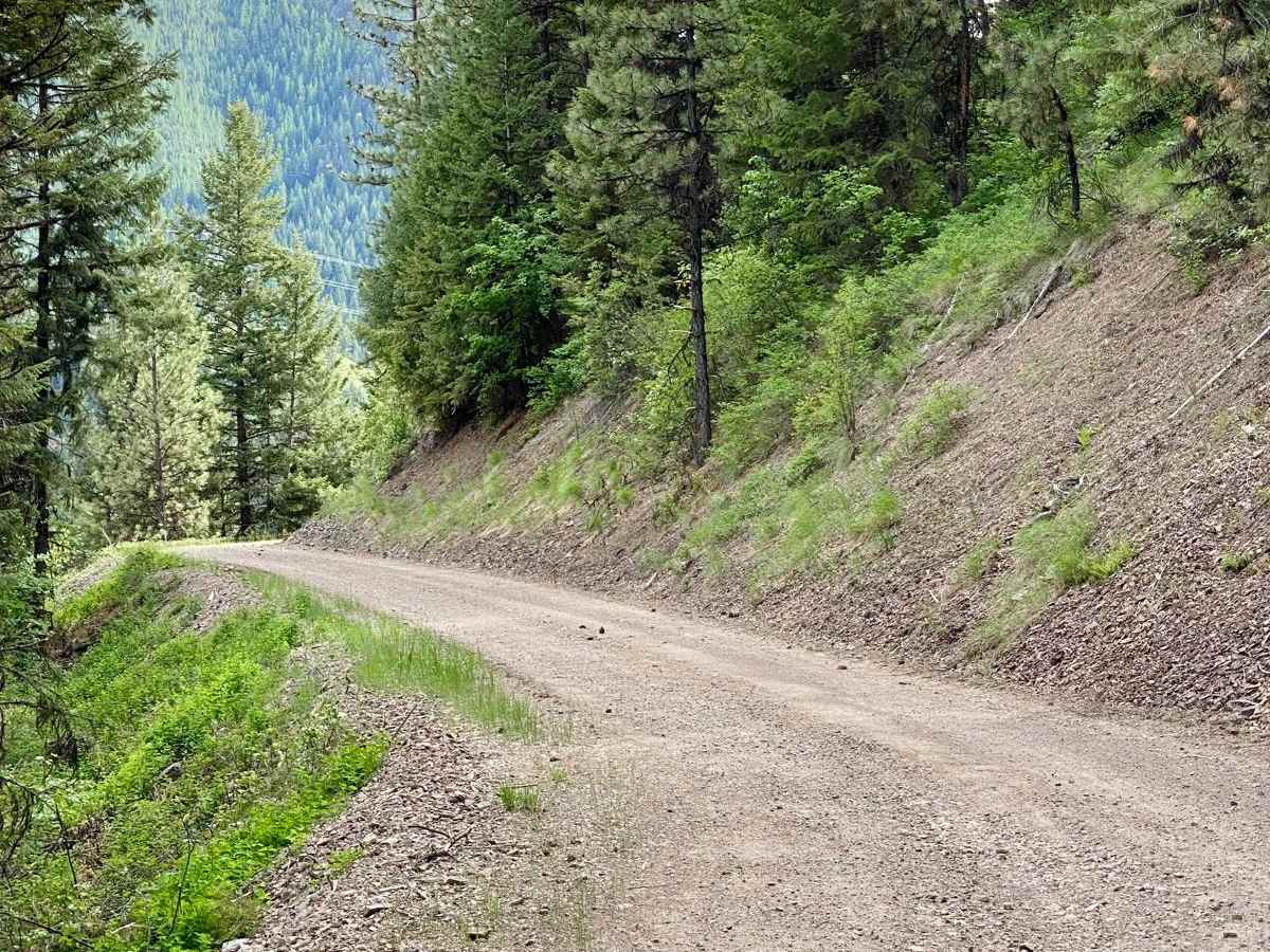Eddy Creek Road-Deep Creek Road photo 2