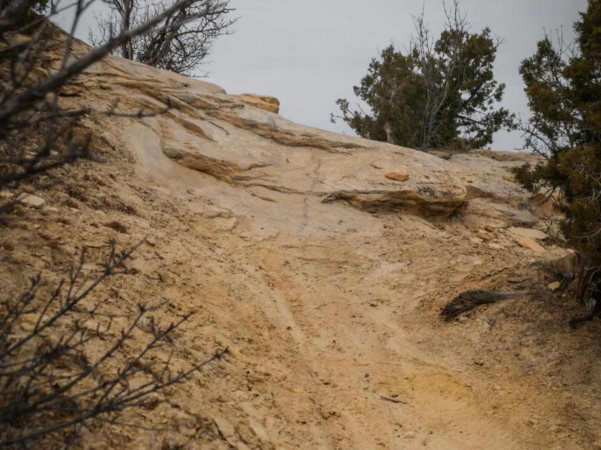 Trail 6 photo 4
