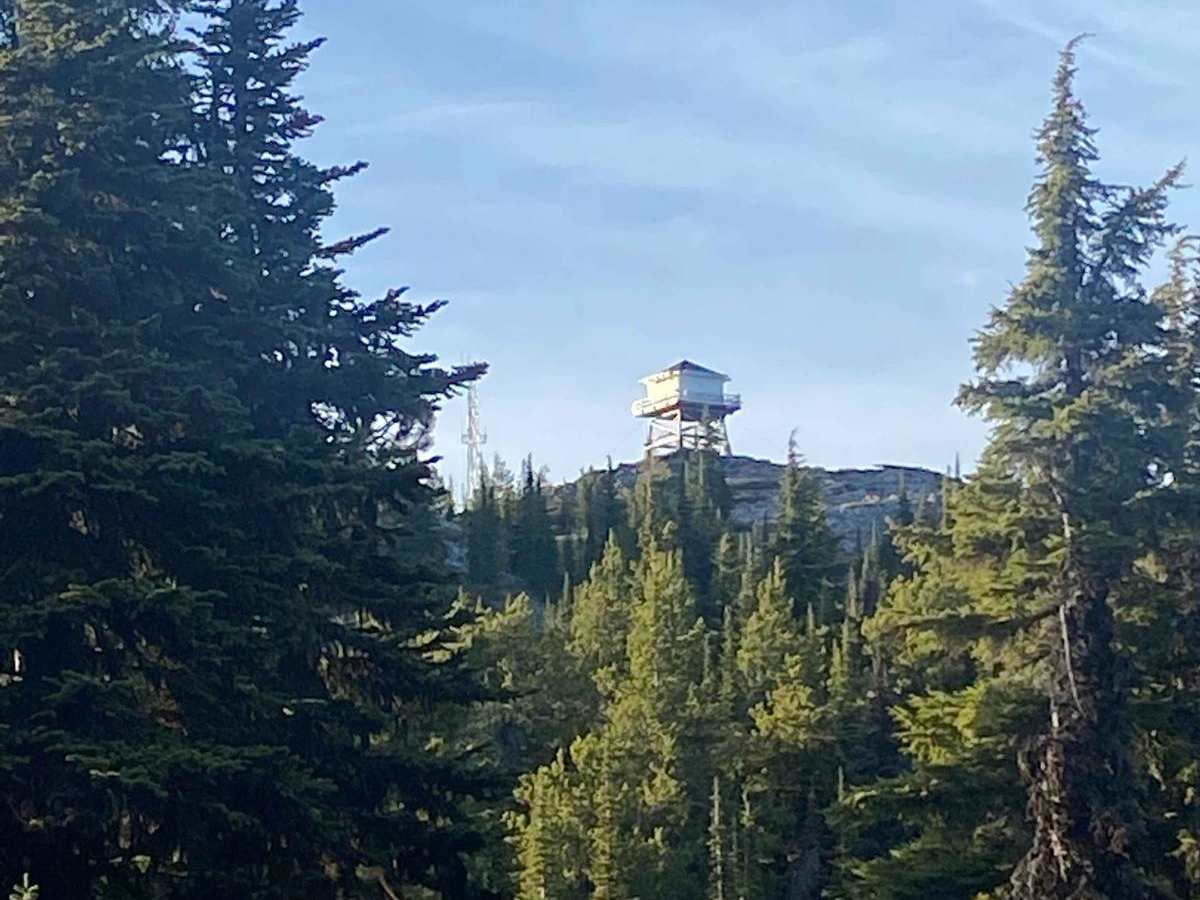 Meadow Peak Lookout trail photo