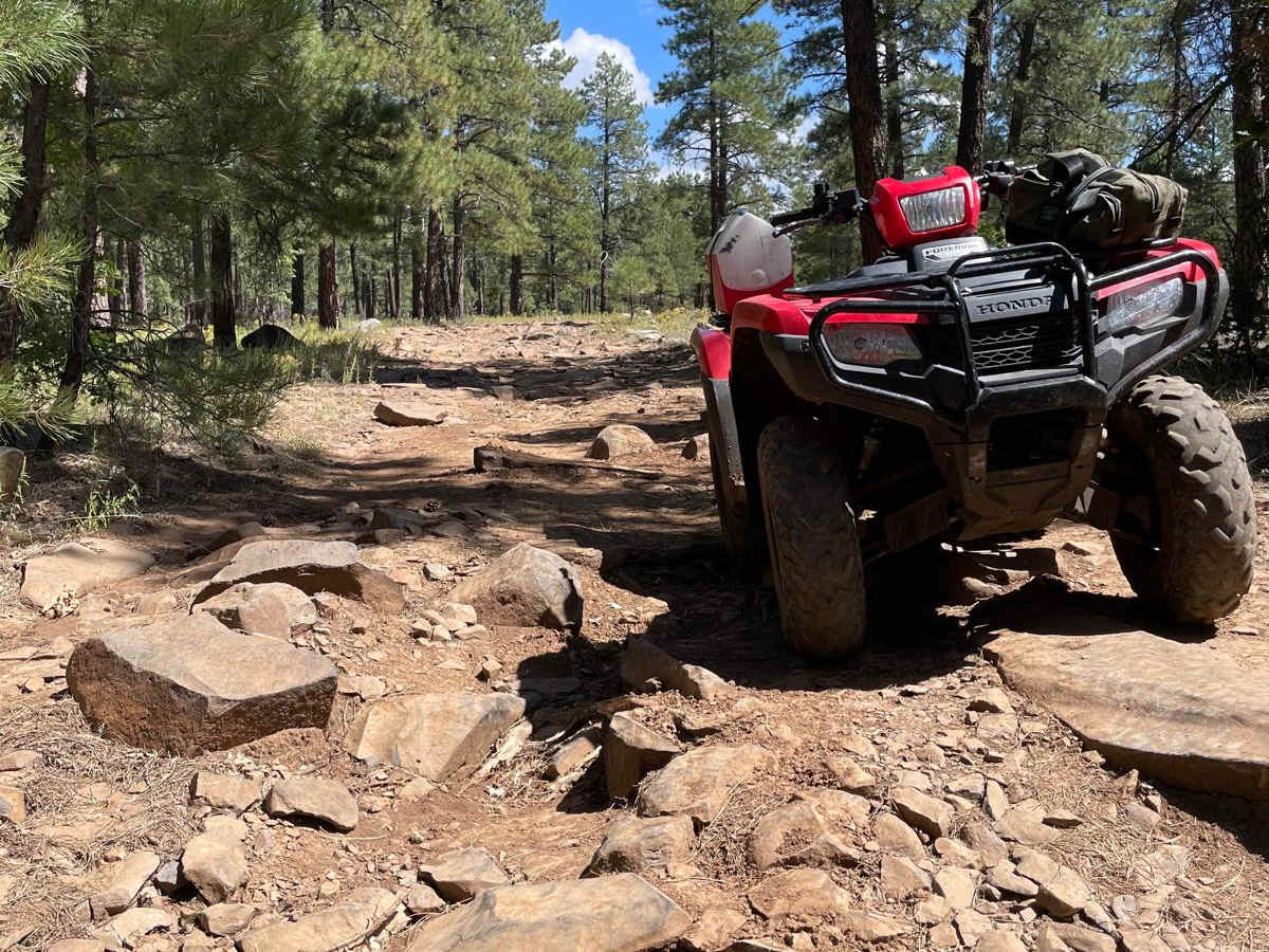 FS 127C trail photo