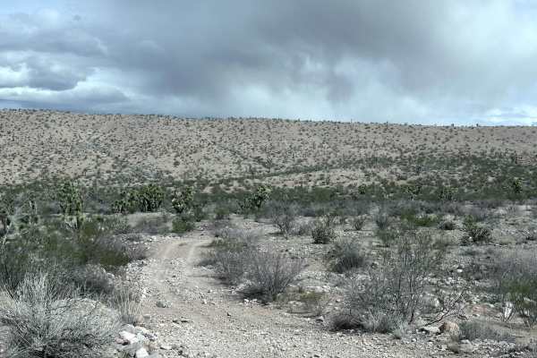 Grand Wash Cliffs - BLM 1061