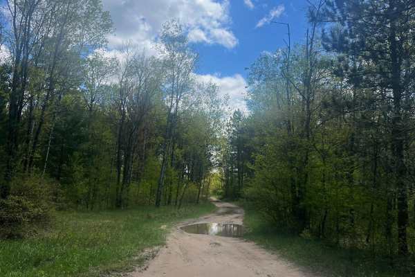Fish Hook Trail
